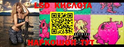 крисы Брянск