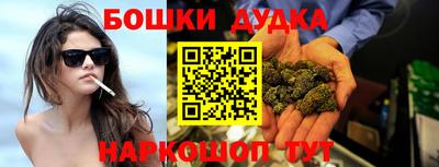 крисы Брянск