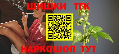 стаф Братск