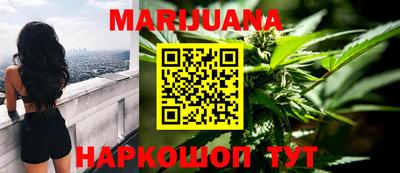 крисы Брянск