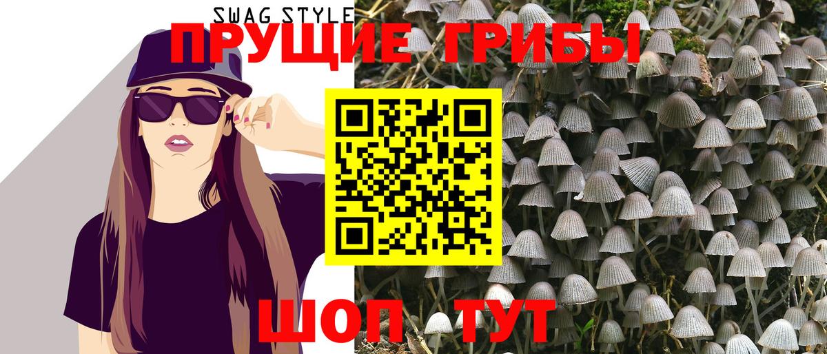 Псилоцибиновые грибы Psilocybe  Вход с VPN  Галлюциногенные грибы Cubensis  Ачхой-Мартан 