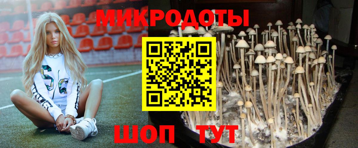 Галлюциногенные грибы GOLDEN TEACHER Ачхой-Мартан